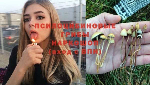 марки lsd Аркадак