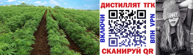 Дистиллят ТГК жижа  где купить наркоту  Шлиссельбург 