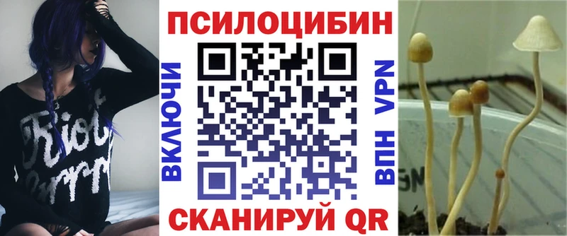 купить наркоту  Шлиссельбург  Псилоцибиновые грибы ЛСД 